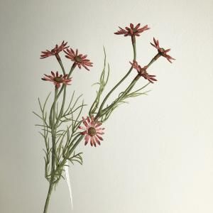 ASCA アスカ デージー×7 A-34960-038 B 入数 24