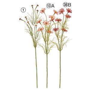 ASCA アスカ デージー×7 A-34960-001 入数 24