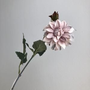 ASCA アスカ ダリア×1 つぼみ×1 A-34957-055 Y 入数 24