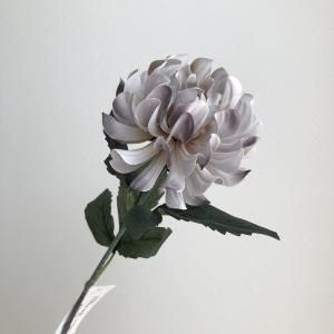 ASCA アスカ ダリア A-34956-063 B 入数 24