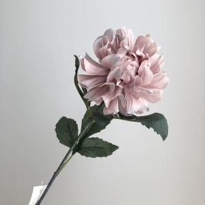 ASCA アスカ ダリア A-34956-055 Y 入数 24