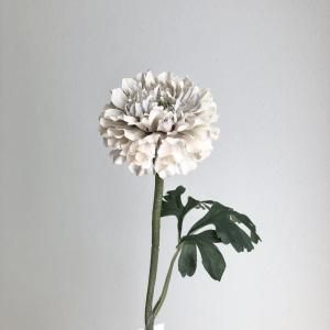 ASCA アスカ ラナンキュラス A-34955-063 E 入数 24