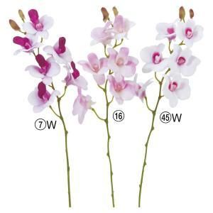 ASCA アスカ ミニオーキッド×6 つぼみ×2 A-34950-007 W 入数 24