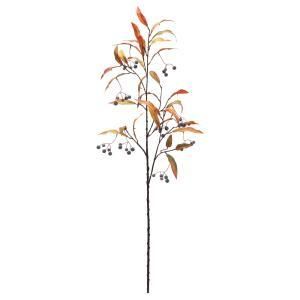 ASCA アスカ ベリーリーフスプレー A-48010-051 G 入数 12