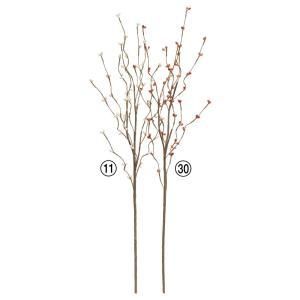 ASCA アスカ ベリースプレー A-48007-011 入数 24