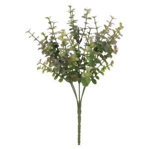 ASCA アスカ ユーカリブッシュ A-44495-053 P 入数 24