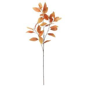 ASCA アスカ リーフスプレー A-44489-028 Y 入数 12