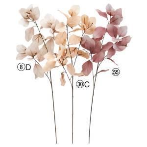 ASCA アスカ ユーカリスプレー A-44488-008 D 入数 12