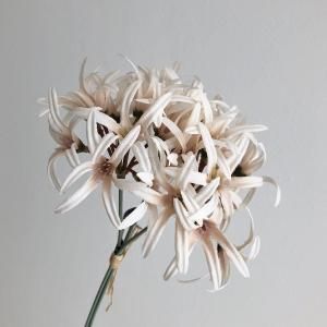 ASCA アスカ ネリネリリィバンチ 1束3本 A-34939-091 入数 12