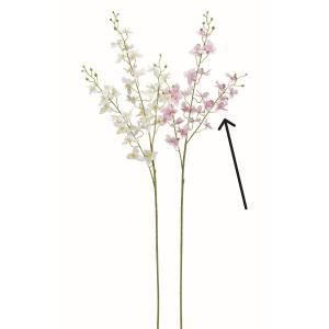 ASCA アスカ オーキッド×32 つぼみ×13 A-34930-003 W 入数 24