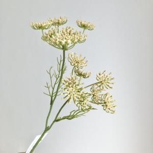 ASCA アスカ クイーンアンズレース×2 A-34921-008 A 入数 24