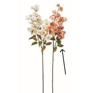 ASCA アスカ ブロッサム×39 A-34916-014 P 入数 12