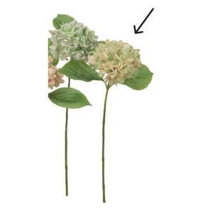 ASCA アスカ ハイドランジア A-34902-052 B 入数 12