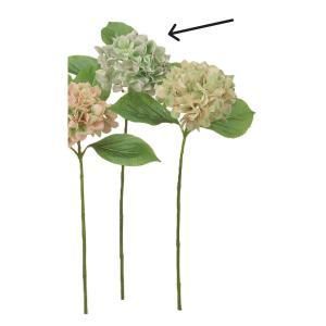 ASCA アスカ ハイドランジア A-34902-052 入数 12