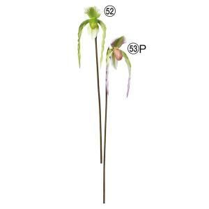 ASCA アスカ パフィオ A-34893-053 P 入数 12