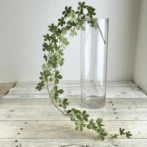 ASCA アスカ ミニシサスアイビーバイン A-44483-051 A 入数 12