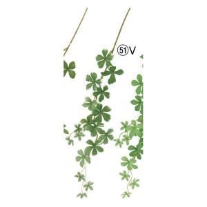 ASCA アスカ ミニシサスアイビーバイン A-44482-051 V 入数 24