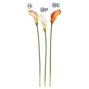 ASCA アスカ カラーリリィ A-34882-030 E 入数 24