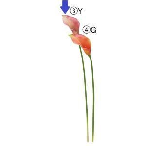 ASCA アスカ カラーリリィ A-34881-003 Y 入数 24