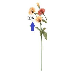 ASCA アスカ トルコギキョウX 2 つぼみX 1 A-34872-004 A 入数 12