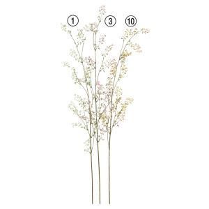 ASCA アスカ ベリースプレー A-48003-010 入数 24