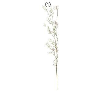 ASCA アスカ ベリースプレー A-48003-001 入数 24