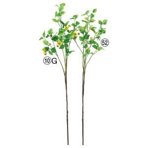 ASCA アスカ ドッグウッドリーフスプレー A-44467-052 入数 12