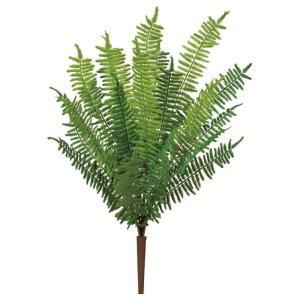 ASCA アスカ ファーンブッシュ A-44460-051 A 入数 24