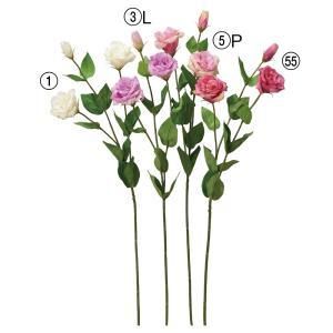 ASCA アスカ トルコギキョウX 2 つぼみX 1 A-34863-055 入数 24