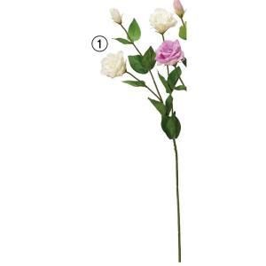 ASCA アスカ トルコギキョウX 2 つぼみX 1 A-34863-001 入数 24