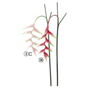 ASCA アスカ ヘリコニア A-34859-026 入数 12