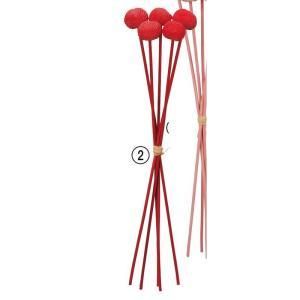 ASCA アスカ クラスペディアバンチ 1束5本 A-34857-002 入数 12