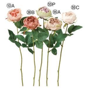 ASCA アスカ ローズ A-34853-055 C 入数 24