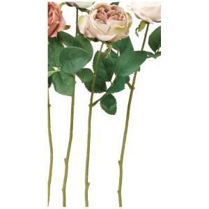 ASCA アスカ ローズ A-34853-055 A 入数 24