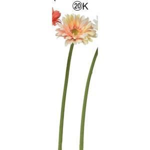 ASCA アスカ ガーベラ A-34851-020 K 入数 24