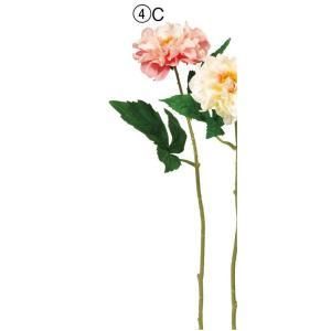 ASCA アスカ ダリア A-34850-004 C 入数 24