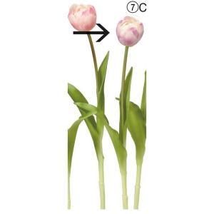 ASCA アスカ チューリップ A-34849-007 C 入数 24