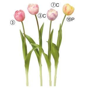 ASCA アスカ チューリップ A-34849-010 P 入数 24