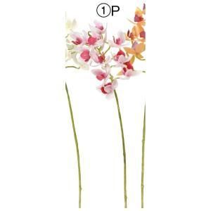 ASCA アスカ ミニオーキッドX 11 つぼみX 2 A-34848-001 P 入数 12