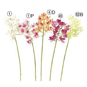 ASCA アスカ ミニオーキッドX 11 つぼみX 2 A-34848-052 B 入数 12