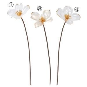 ASCA アスカ クリアドッグウッドピック 1袋6本入 A-39675-042 入数 24