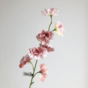 ASCA アスカ スイトピーX 7 A-34843-013 W 入数 24