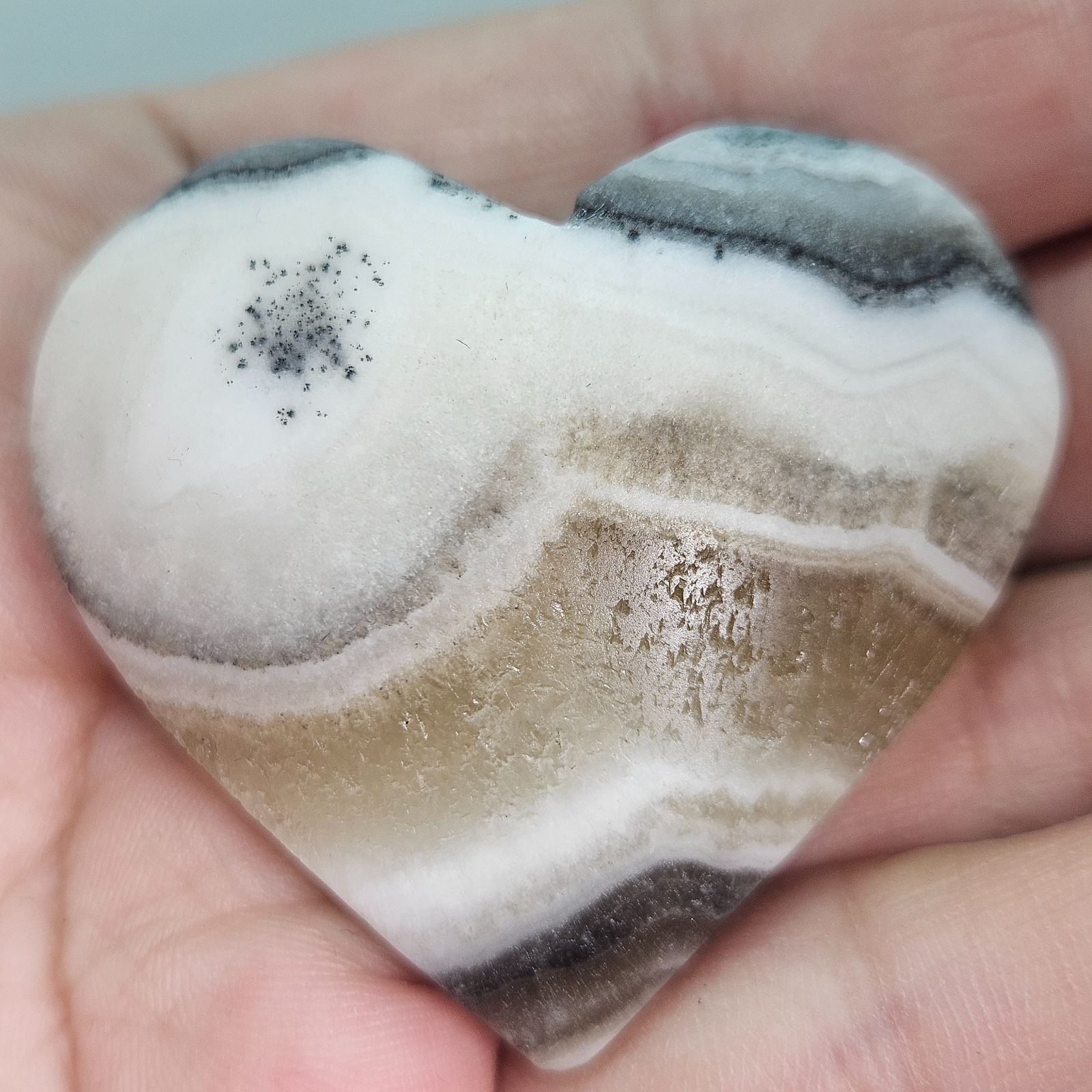 ゼブラカルサイト✨ハート♥️カービング✨ - メルカリ