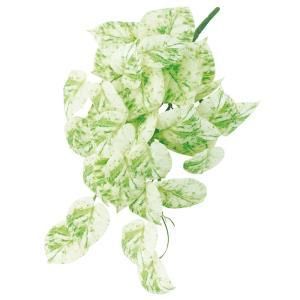 ASCA アスカ ポトスハンギングブッシュ A-44443-052 入数 12