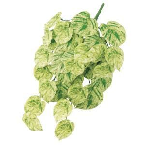 ASCA アスカ ポトスハンギングブッシュ A-44442-053 A 入数 12