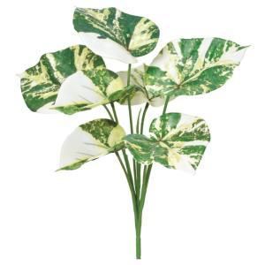 ASCA アスカ フィロデンドロンブッシュ A-44441-051 V 入数 24