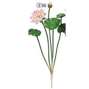 ASCA アスカ ロータスブッシュ A-34839-003 W 入数 12