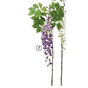 ASCA アスカ ウィステリアX 2 A-34833-007 入数 12