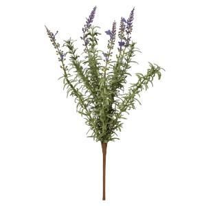 ASCA アスカ ラベンダーブッシュ A-34831-006 入数 24