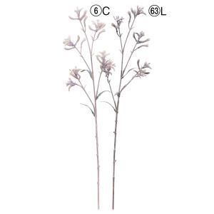 ASCA アスカ カンガルーポー A-34827-063 L 入数 24